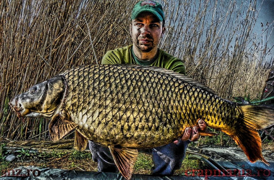 Trofeul Tancabesti (3) - 2013 - 1012303hdrmode2.jpg